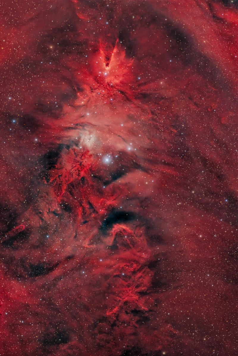 NGC 2264 — NASA APOD